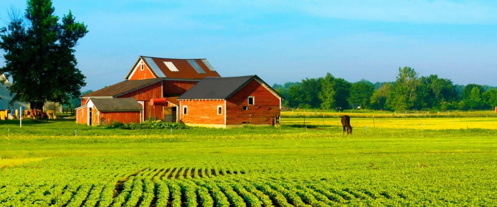 PROPRIEDADE RURAL
