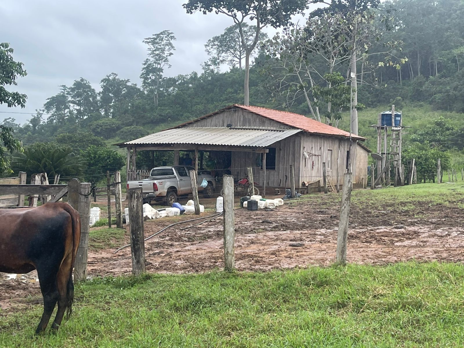 Fazenda 500 ha em Novo Repartimento PA